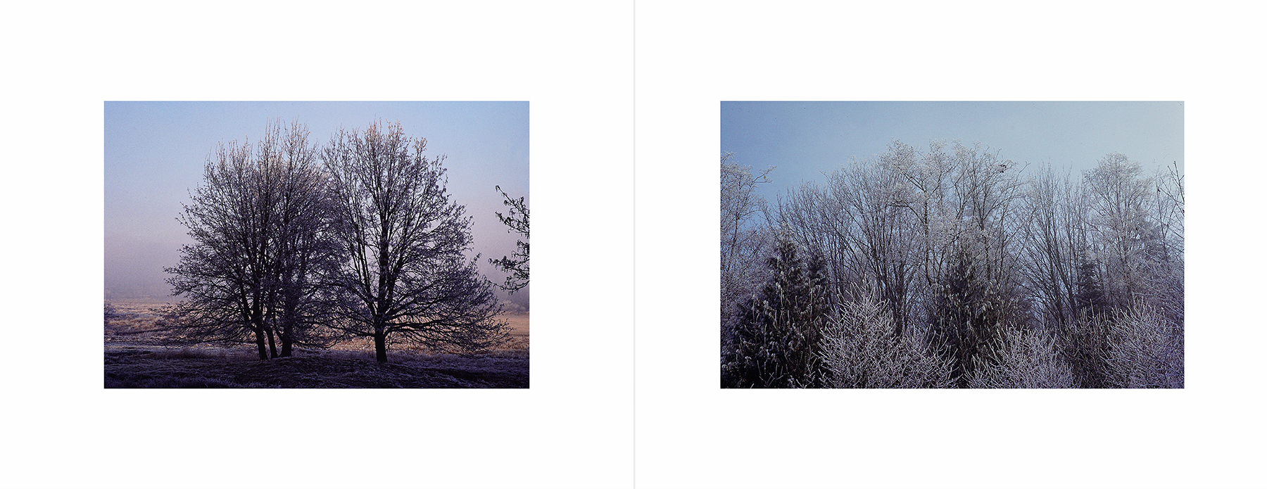 photos from Showers of Midnight Stardust [85]