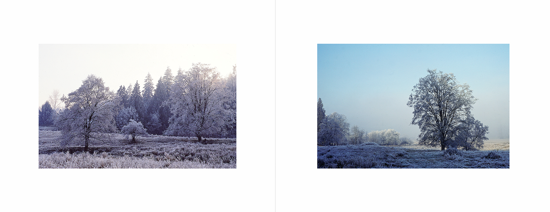 photos from Showers of Midnight Stardust [85]