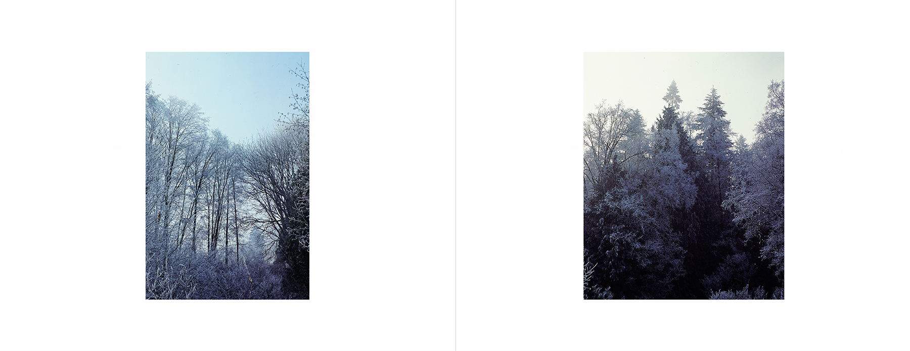 photos from Showers of Midnight Stardust [85]