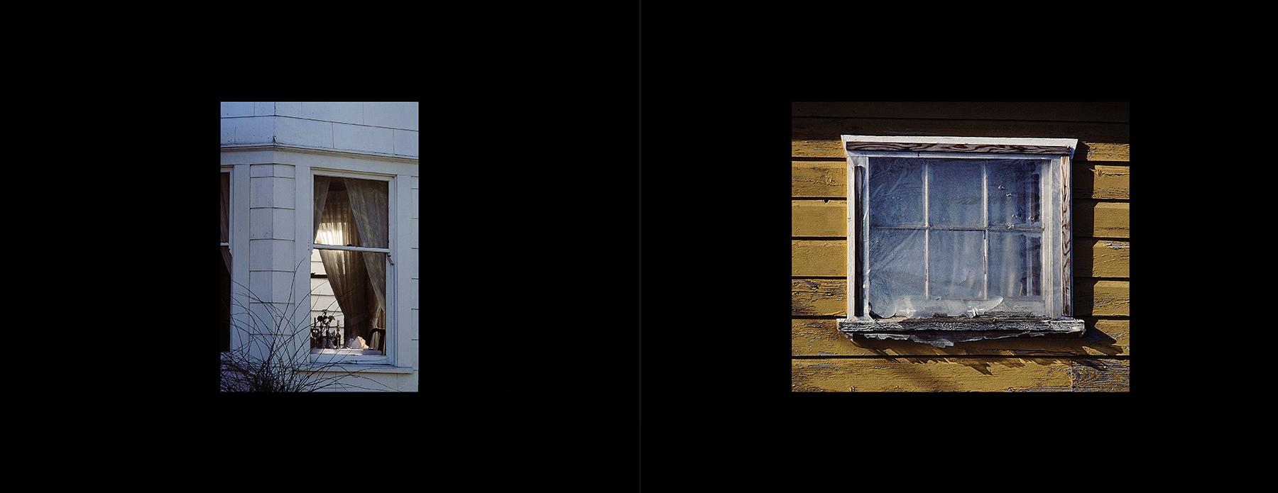 photos from Showers of Midnight Stardust [85]