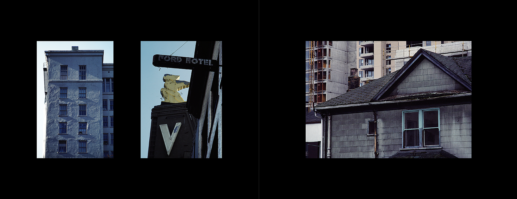 photos from Showers of Midnight Stardust [85]