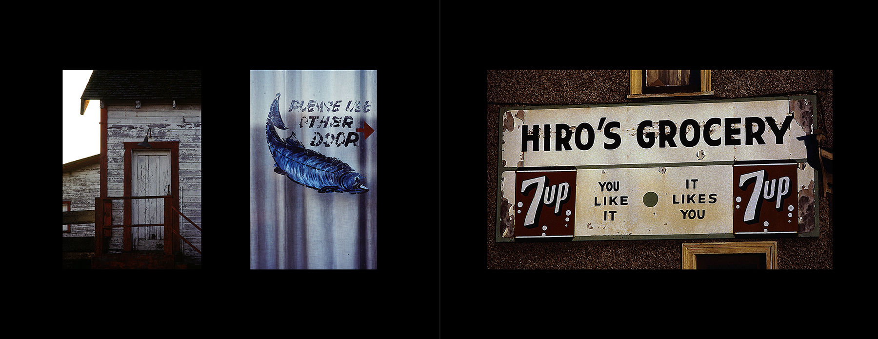 photos from Showers of Midnight Stardust [85]