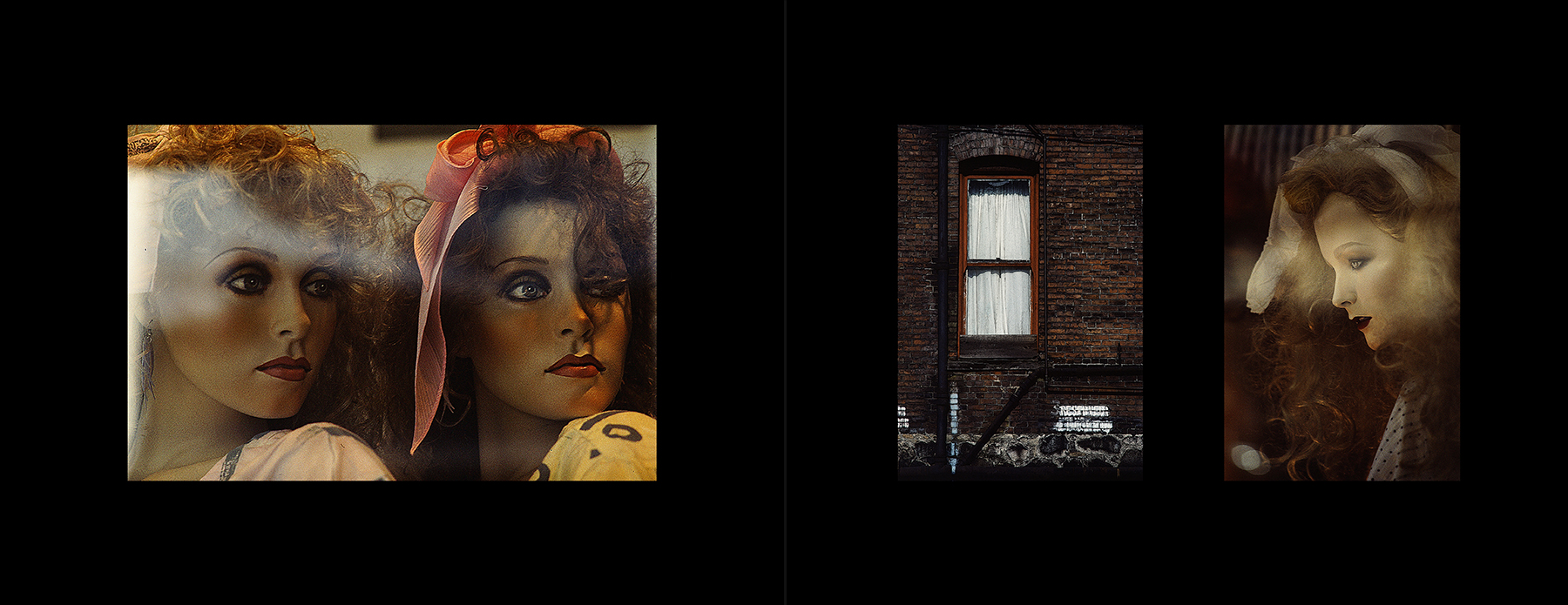 photos from Showers of Midnight Stardust [85]