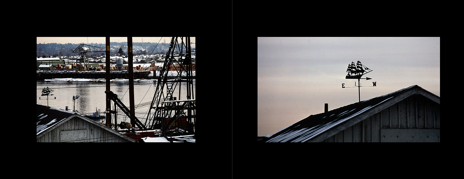 photos from Showers of Midnight Stardust [86]