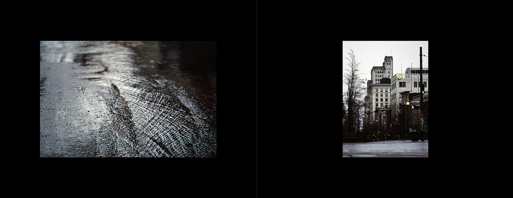 photos from Showers of Midnight Stardust [86]