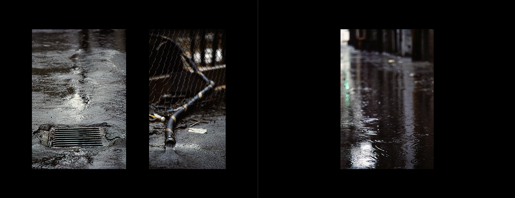 photos from Showers of Midnight Stardust [86]