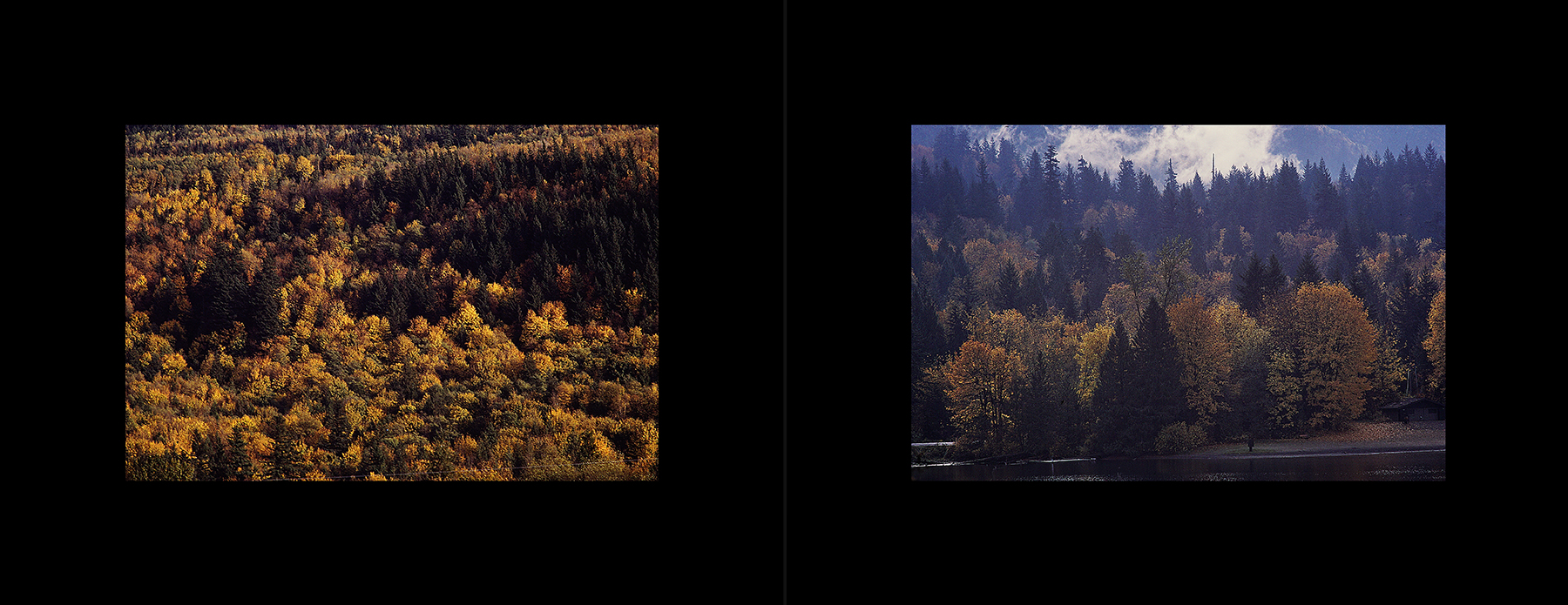 photos from Showers of Midnight Stardust [87]