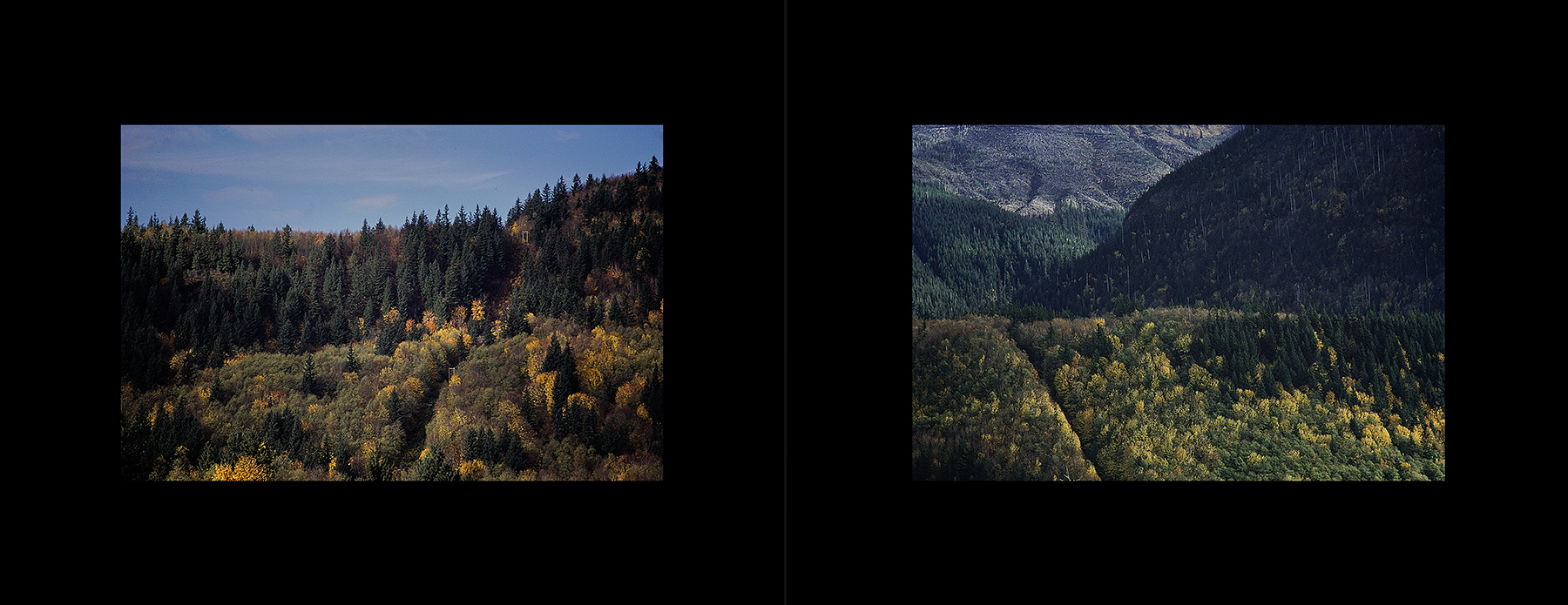 photos from Showers of Midnight Stardust [87]