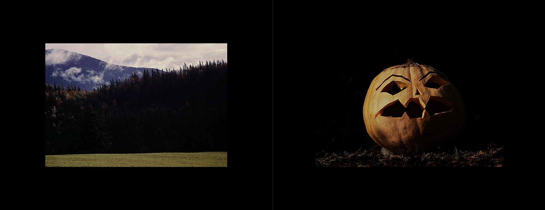 photos from Showers of Midnight Stardust [87]