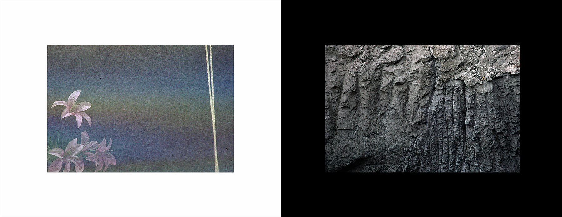 photos from Showers of Midnight Stardust [87]