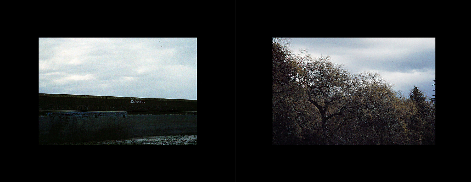 photos from Showers of Midnight Stardust [87]