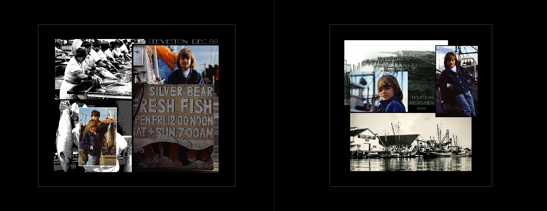 photos from Showers of Midnight Stardust [88]