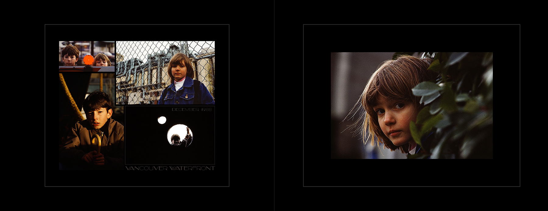 photos from Showers of Midnight Stardust [88]