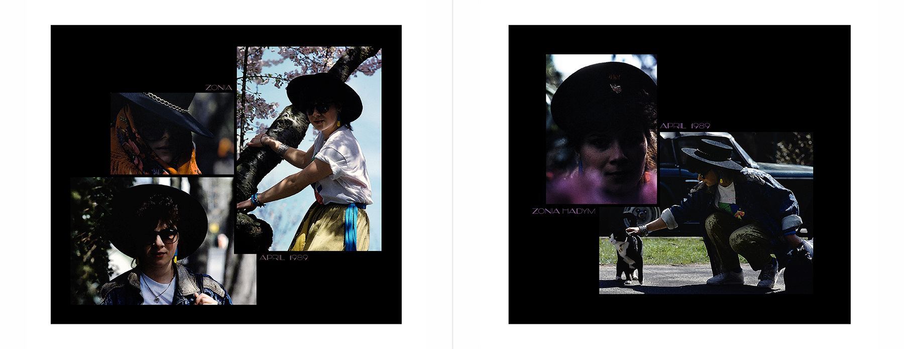 photos from Showers of Midnight Stardust [89]