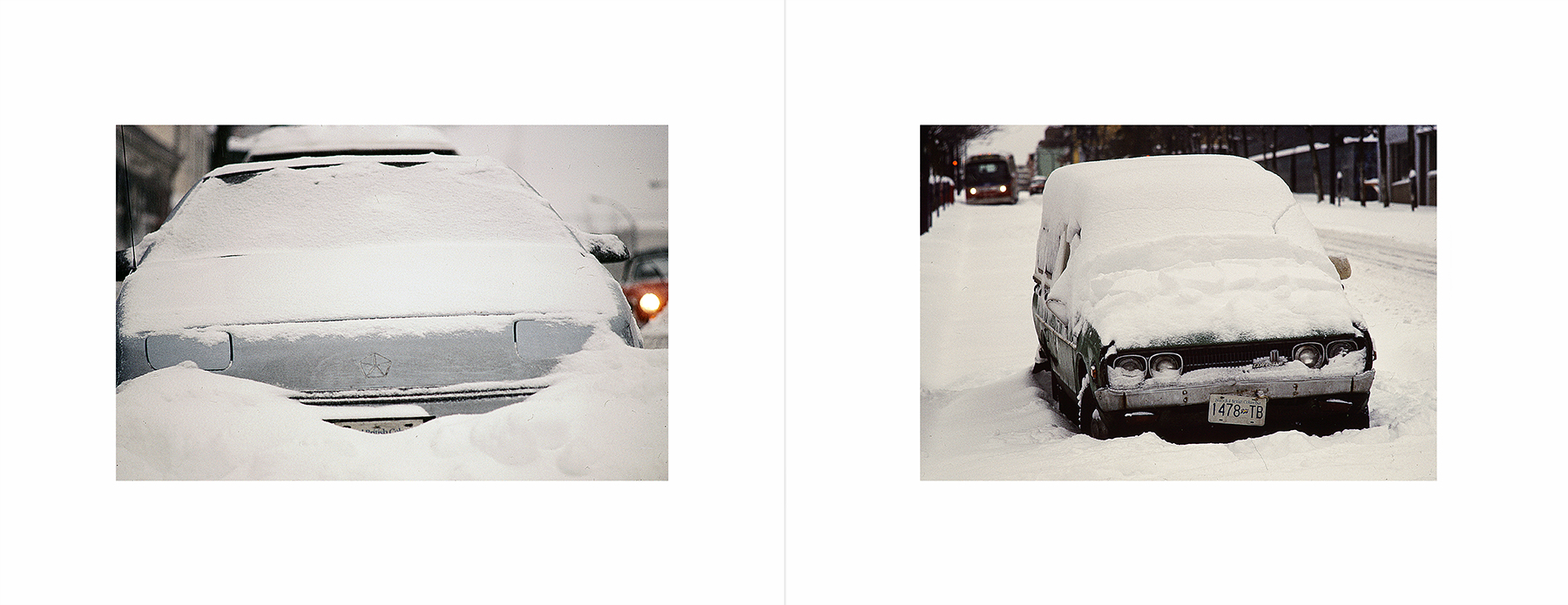 photos from Showers of Midnight Stardust [90]