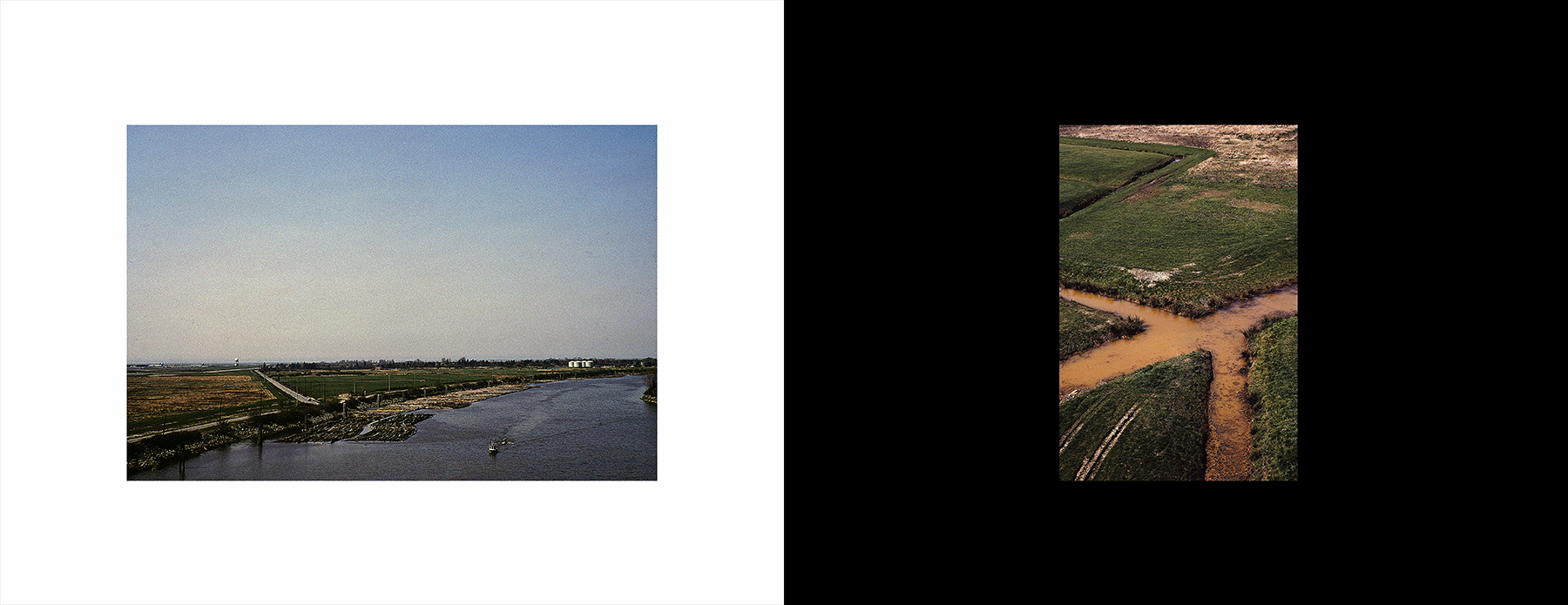 photos from Showers of Midnight Stardust [90]