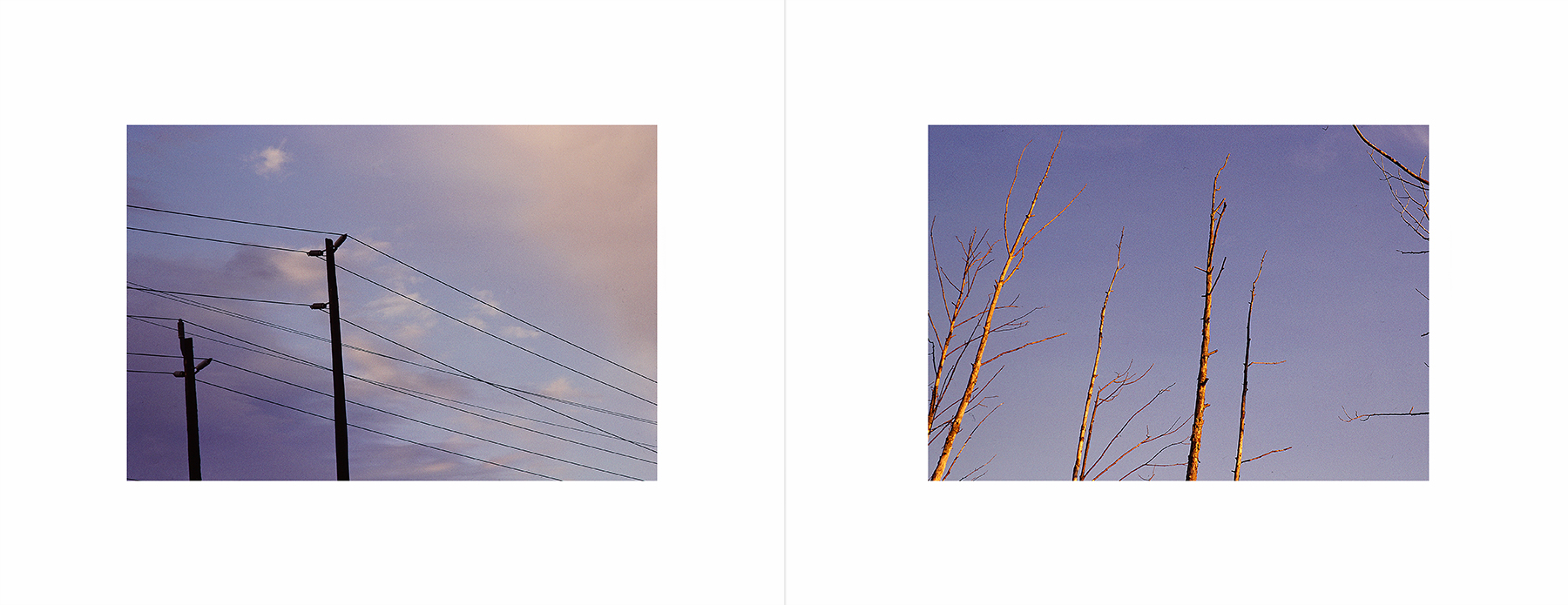 photos from Showers of Midnight Stardust [91]