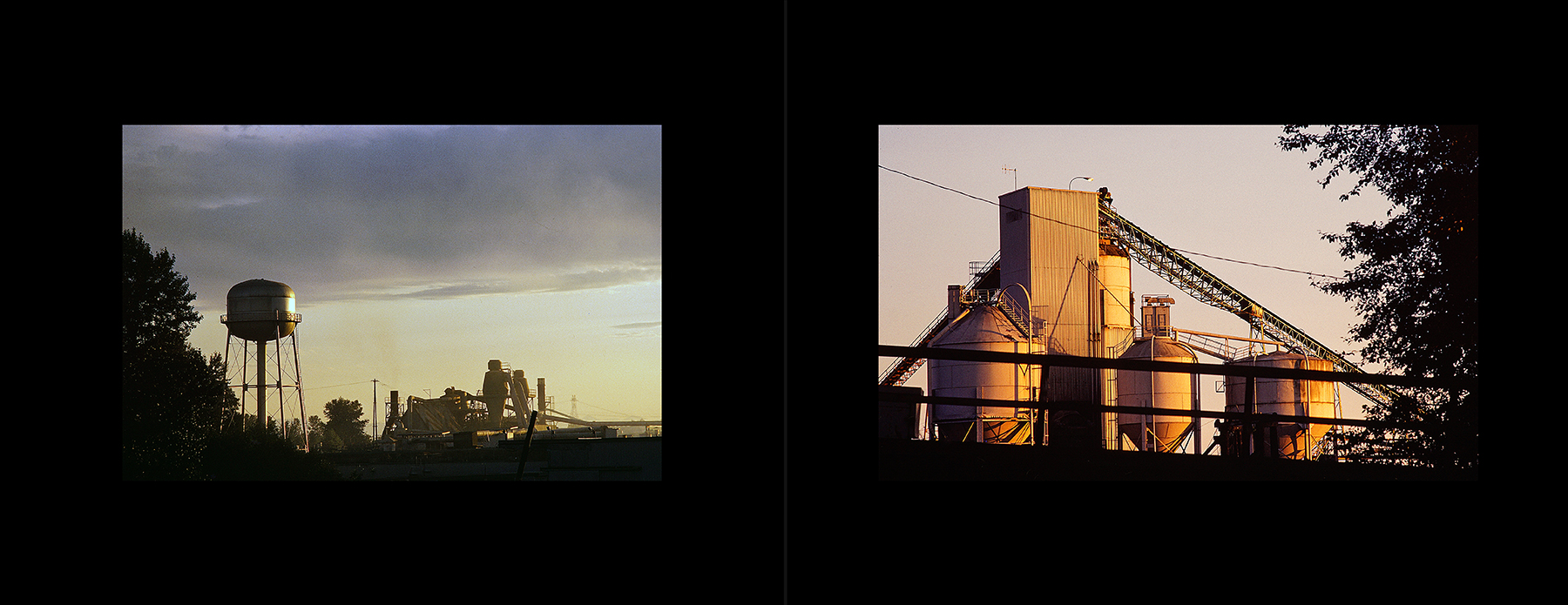 photos from Showers of Midnight Stardust [91]