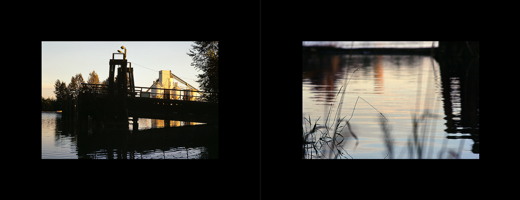 photos from Showers of Midnight Stardust [91]