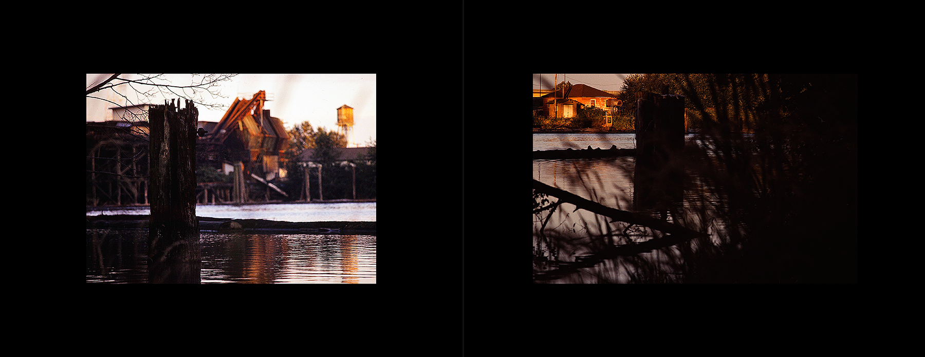 photos from Showers of Midnight Stardust [91]