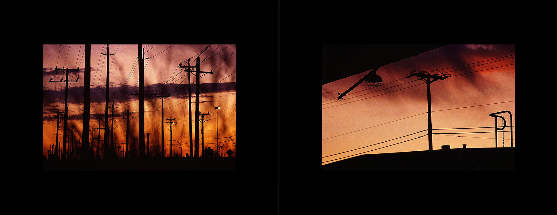 photos from Showers of Midnight Stardust [91]