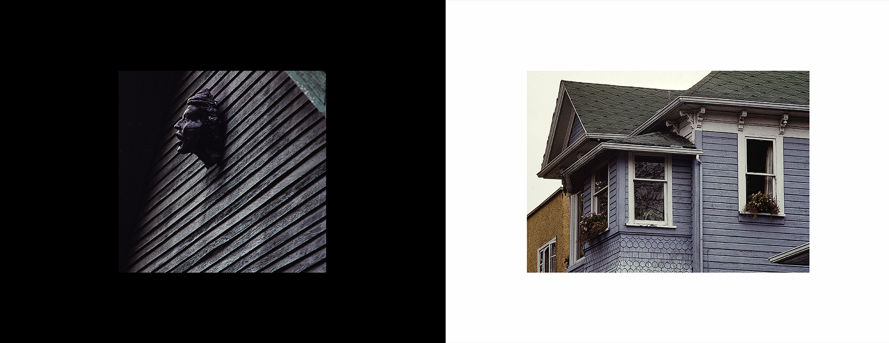 photos from Showers of Midnight Stardust [91]