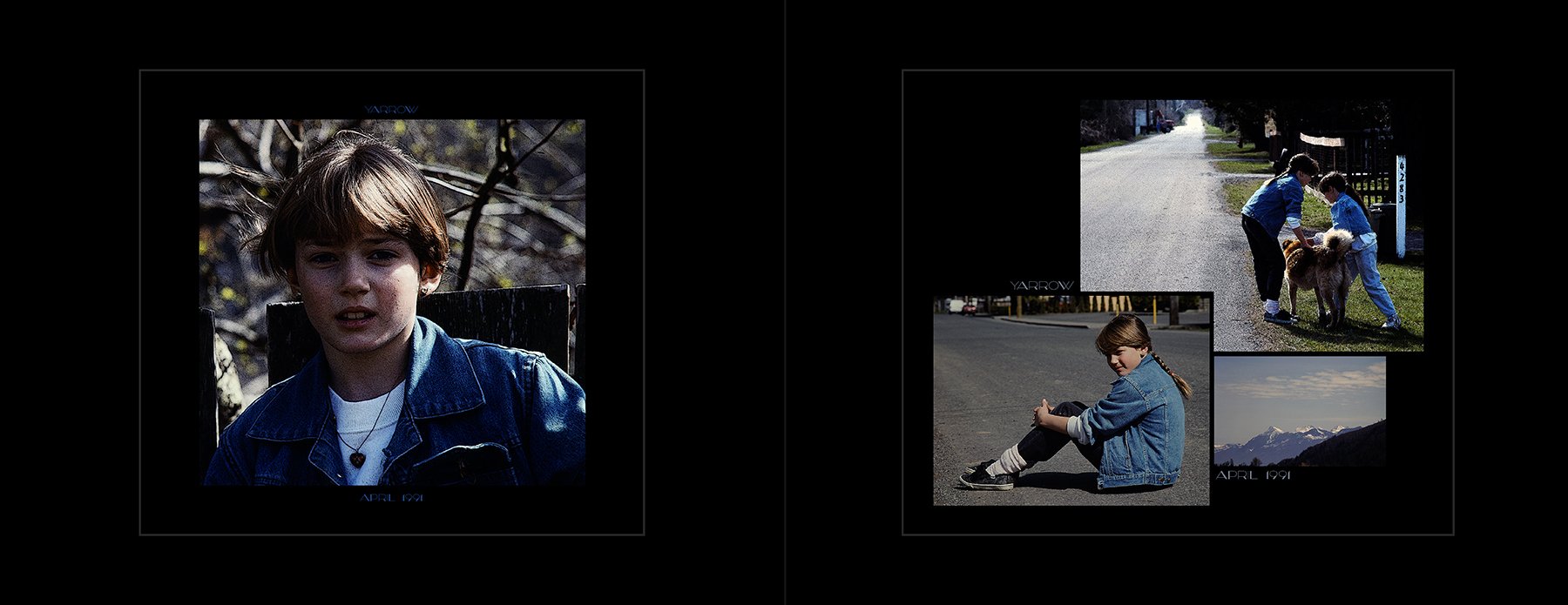 photos from Showers of Midnight Stardust [91]