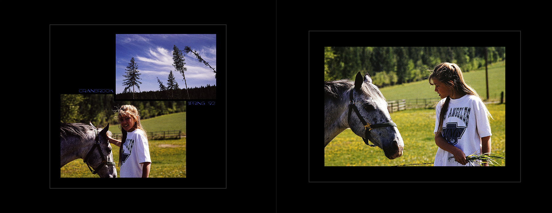 photos from Showers of Midnight Stardust [92]