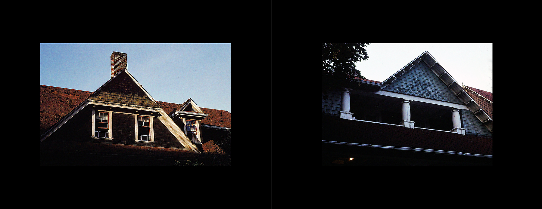 photos from Showers of Midnight Stardust [92]