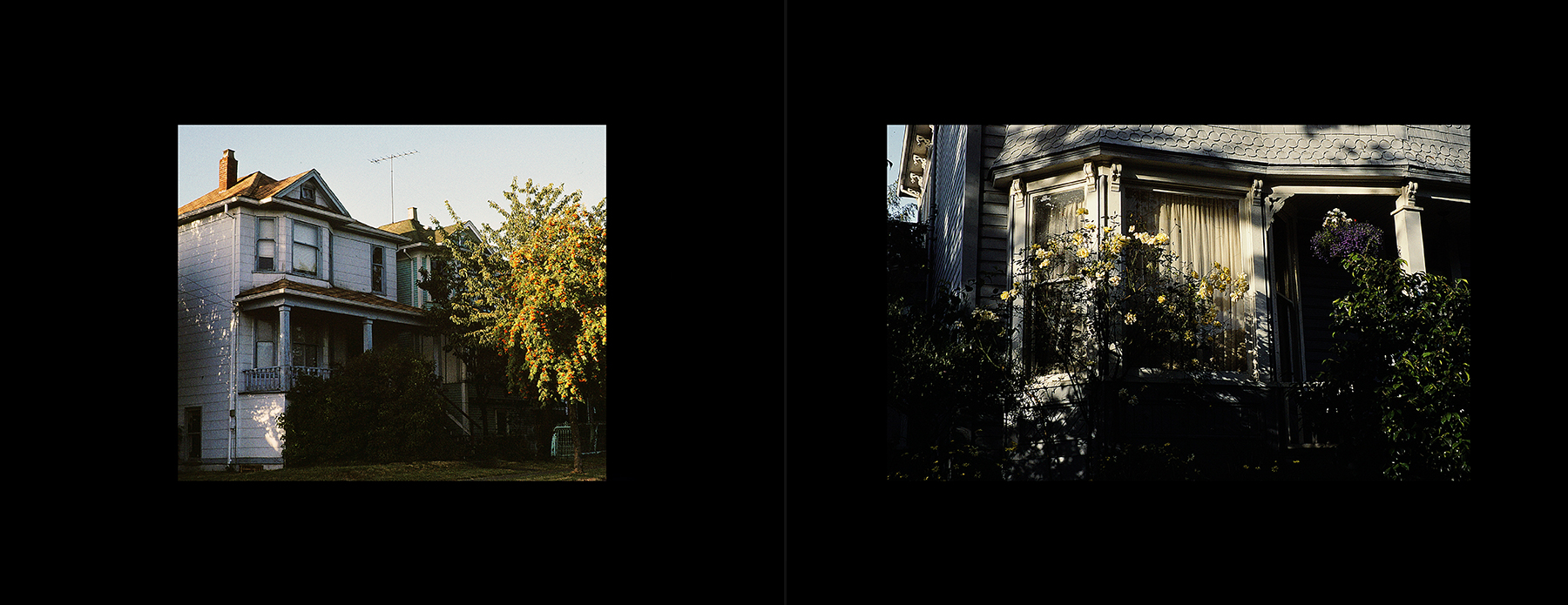 photos from Showers of Midnight Stardust [92]