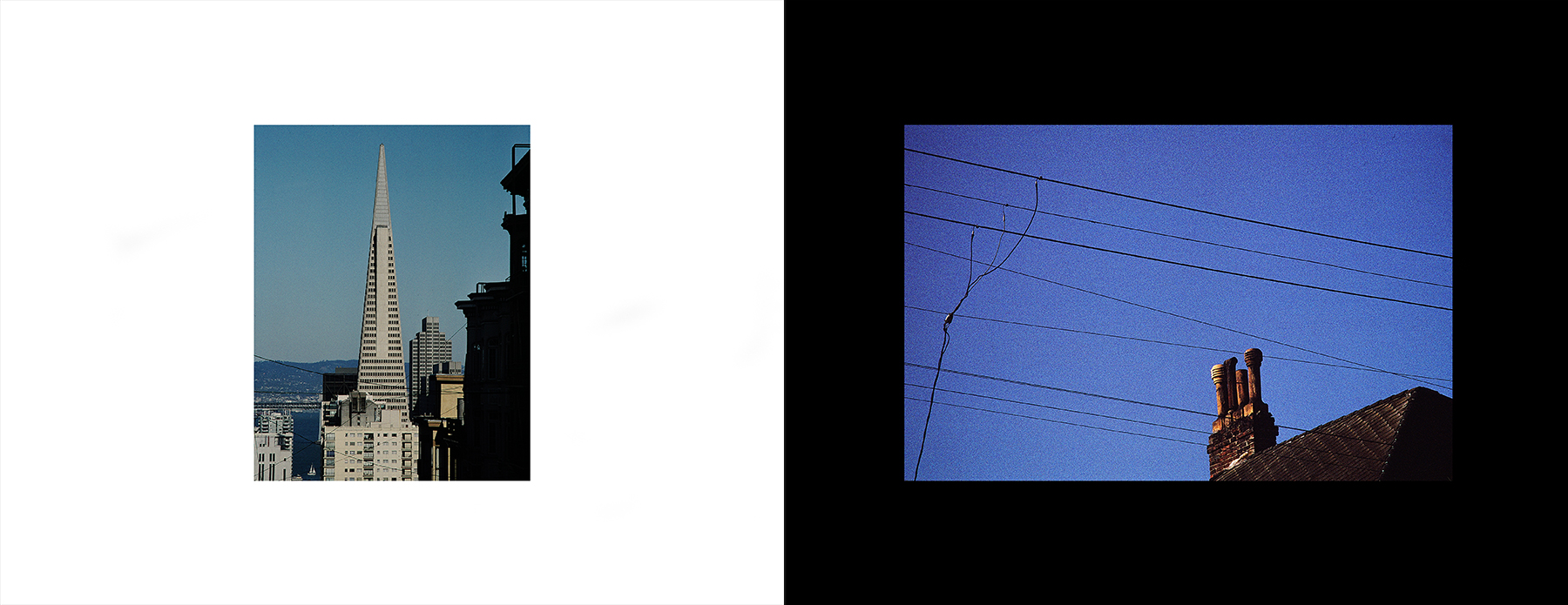 photos from Showers of Midnight Stardust [92]