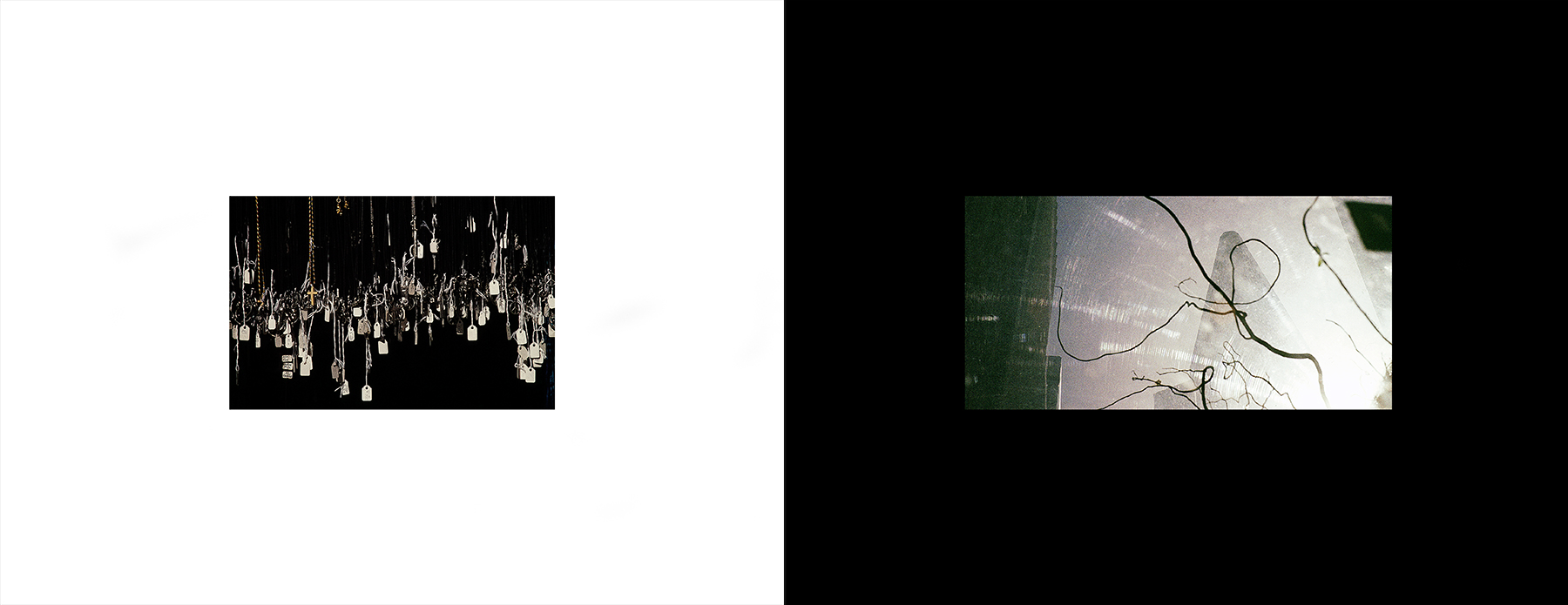 photos from Showers of Midnight Stardust [92]