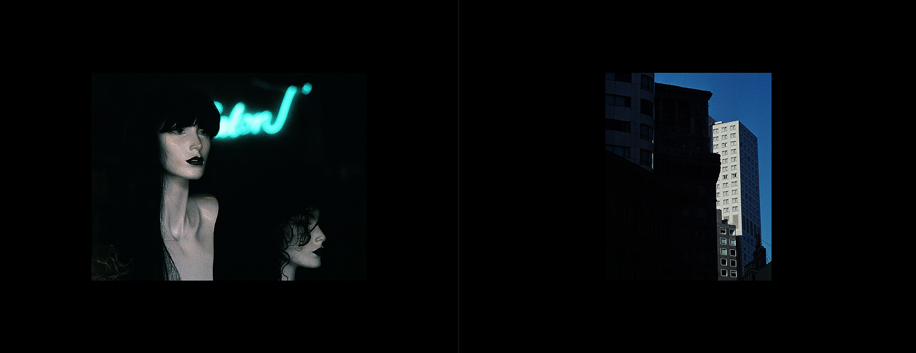 photos from Showers of Midnight Stardust [92]