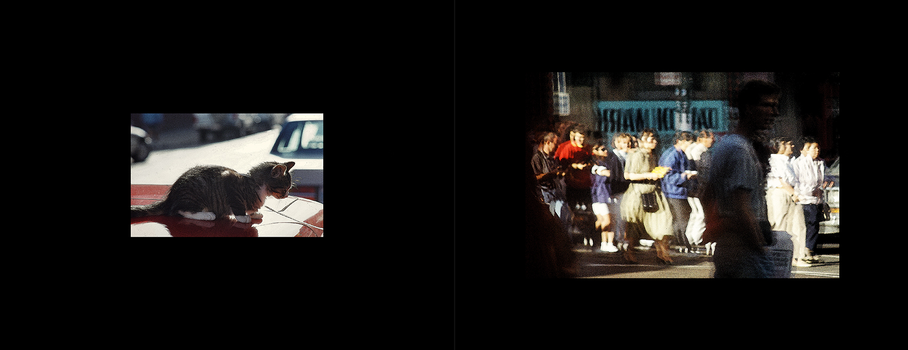 photos from Showers of Midnight Stardust [92]