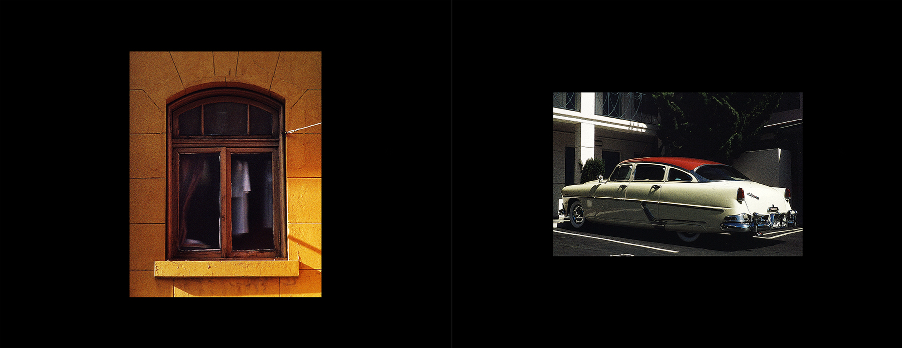 photos from Showers of Midnight Stardust [92]