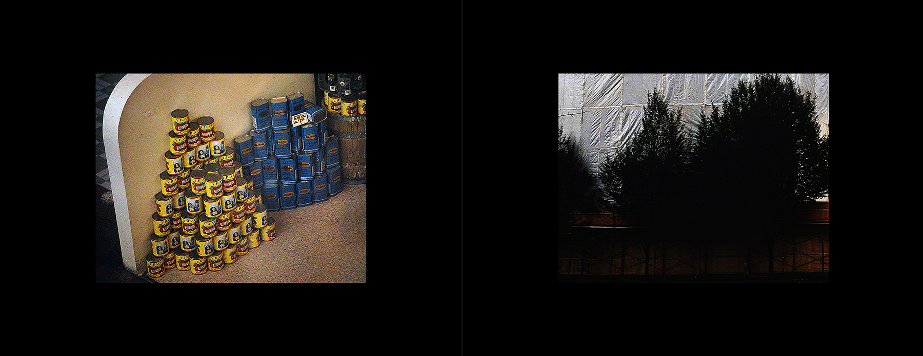 photos from Showers of Midnight Stardust [92]