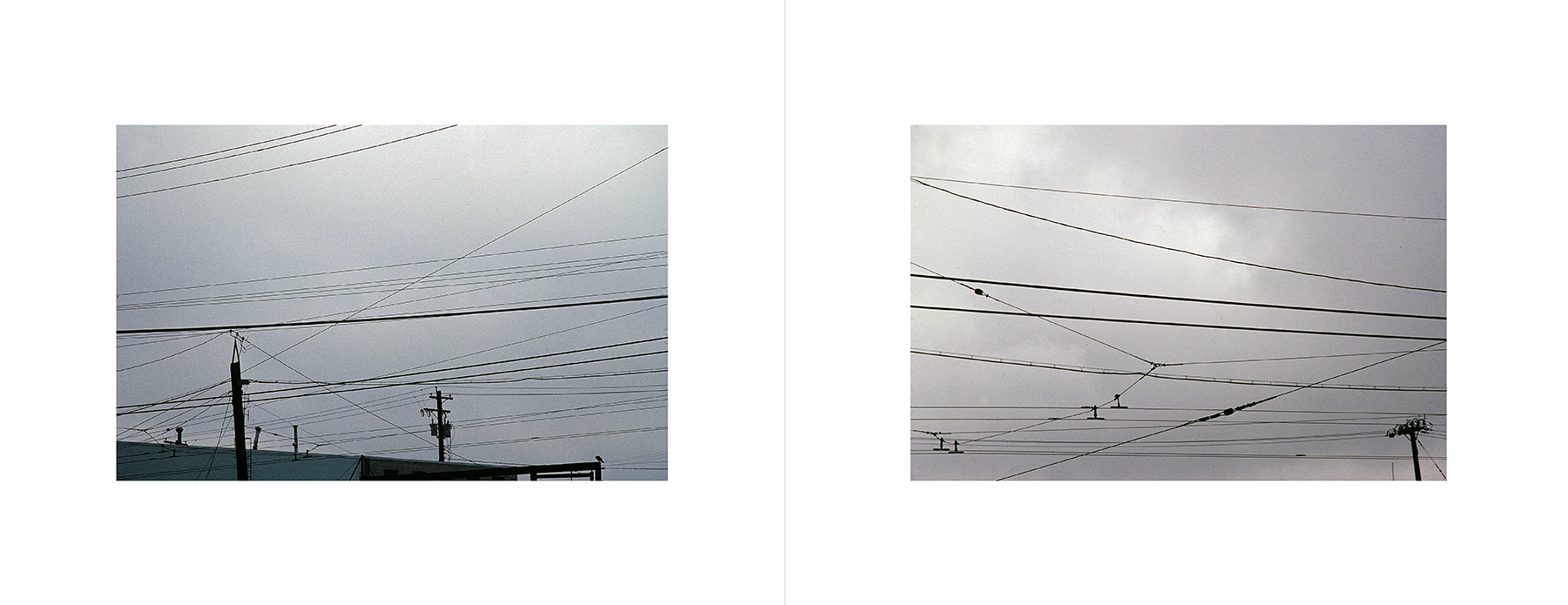 photos from Showers of Midnight Stardust [92]