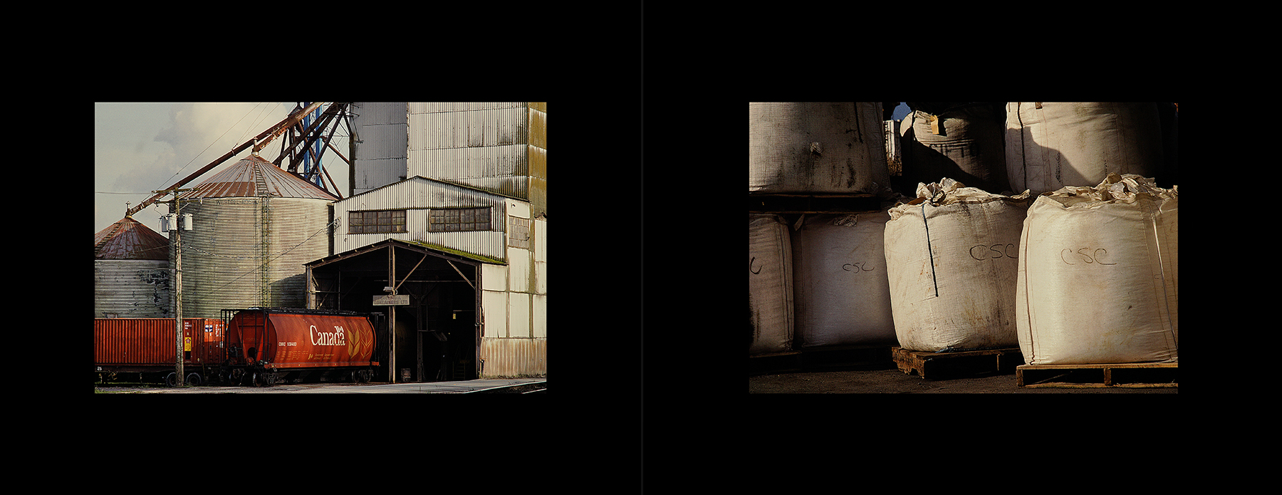 photos from Showers of Midnight Stardust [92]