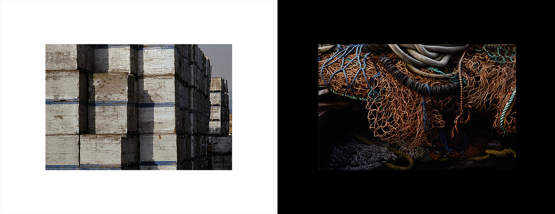 photos from Showers of Midnight Stardust [92]