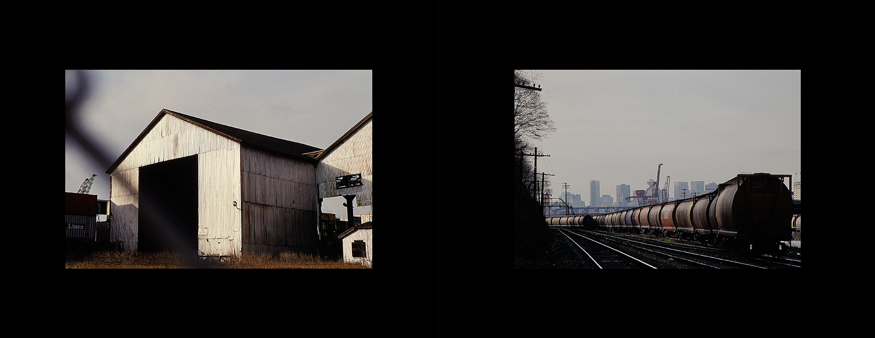 photos from Showers of Midnight Stardust [92]