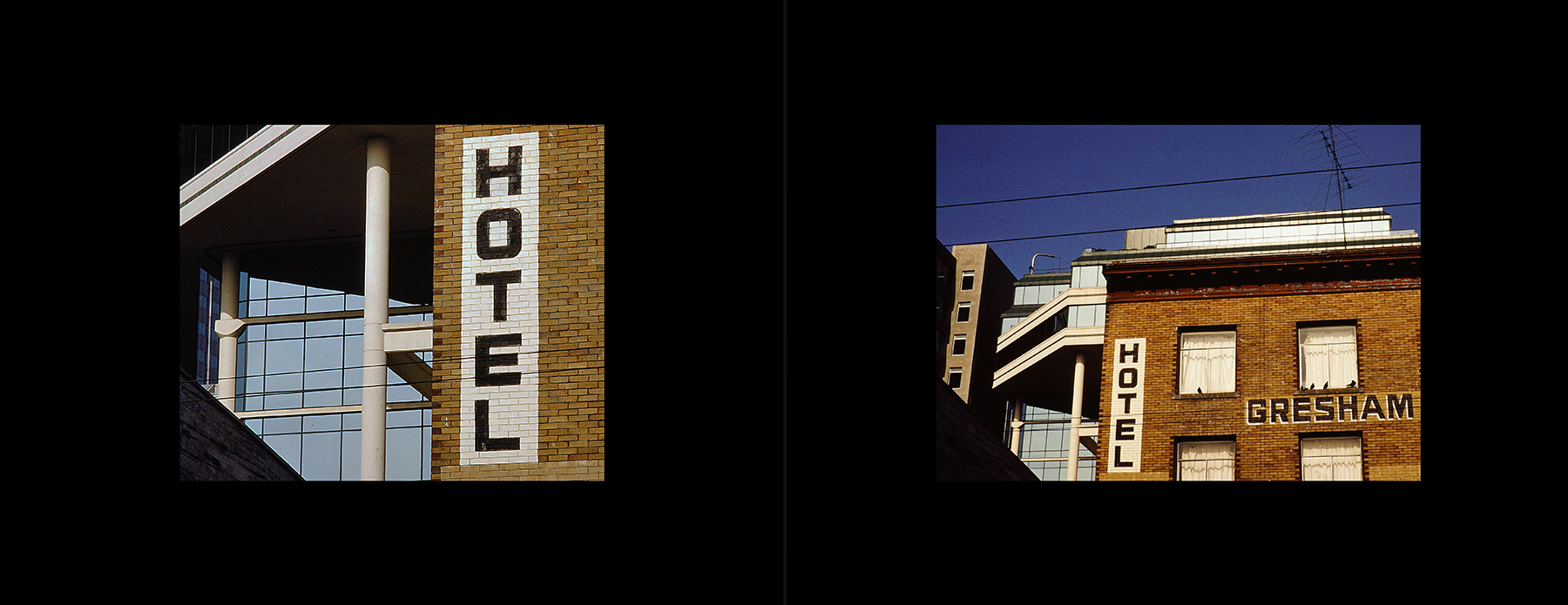 photos from Showers of Midnight Stardust [92]