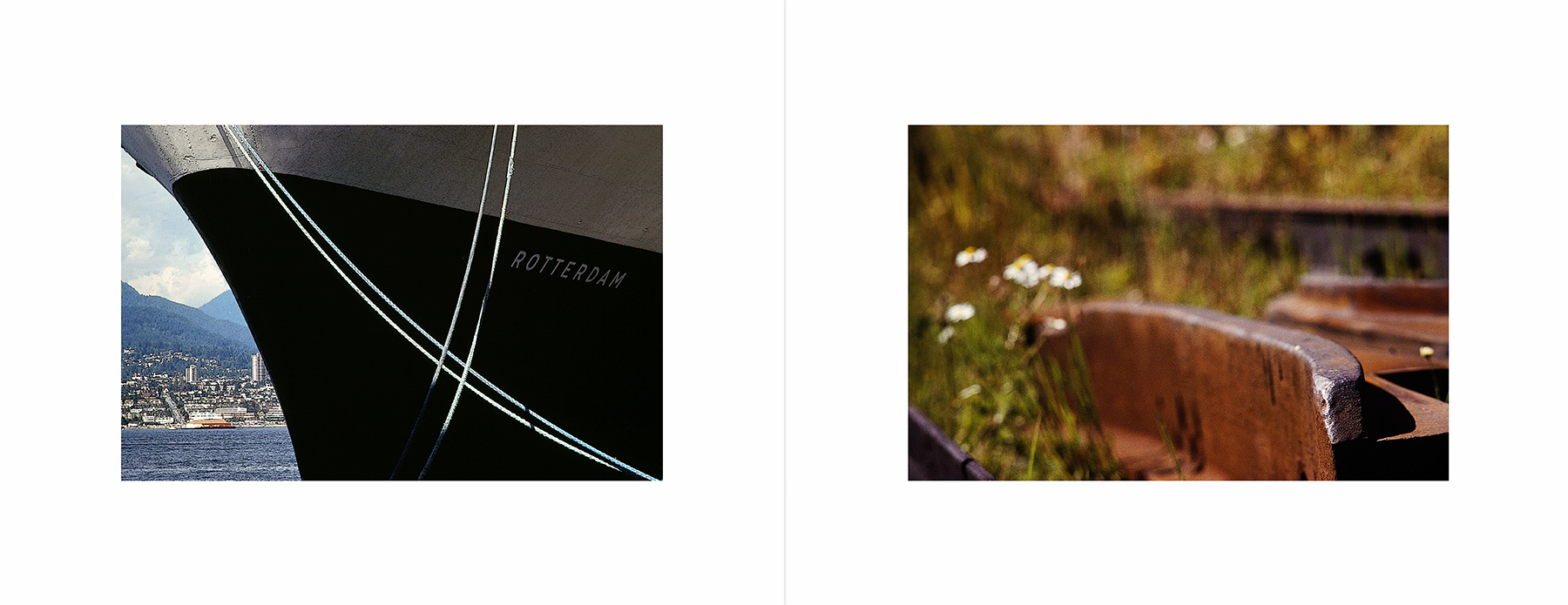 photos from Showers of Midnight Stardust [93]