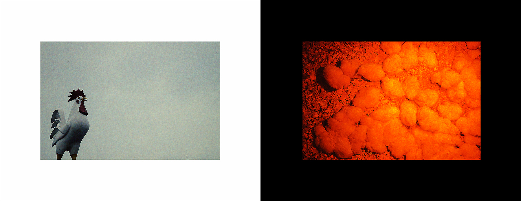 photos from Showers of Midnight Stardust [93]