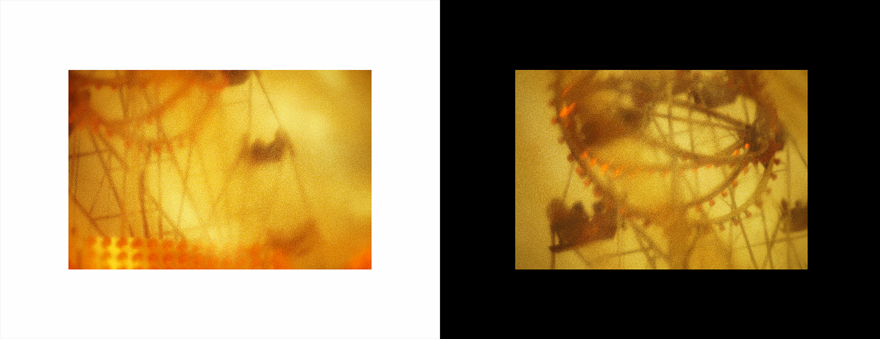 photos from Showers of Midnight Stardust [93]