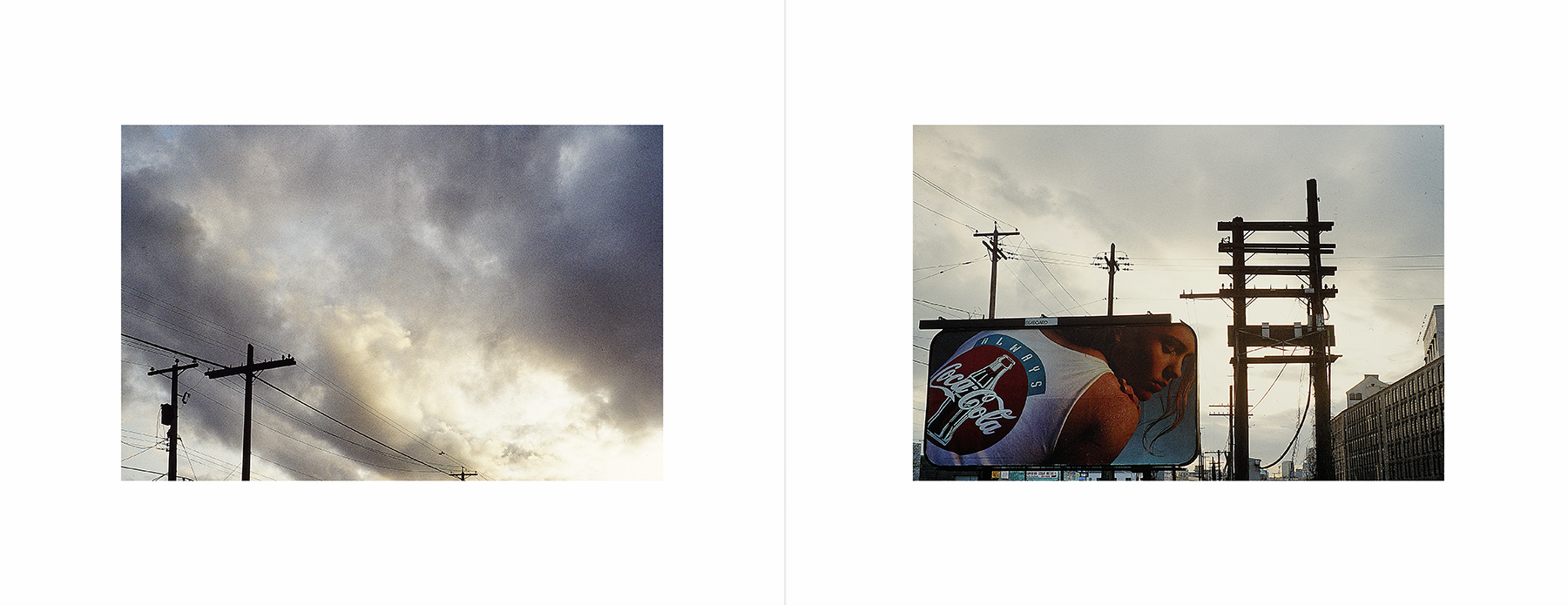 photos from Showers of Midnight Stardust [93]