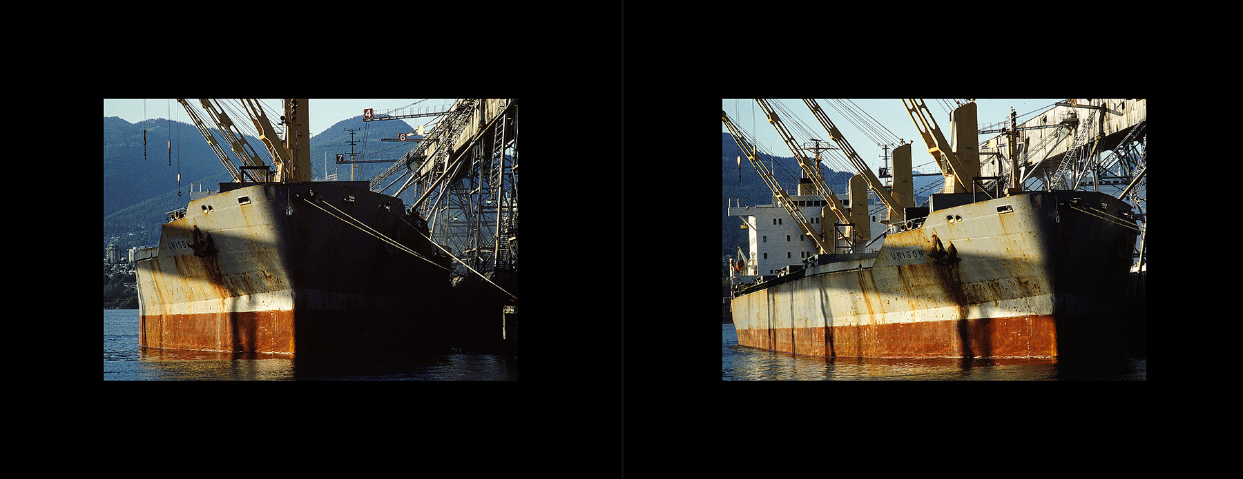 photos from Showers of Midnight Stardust [94]