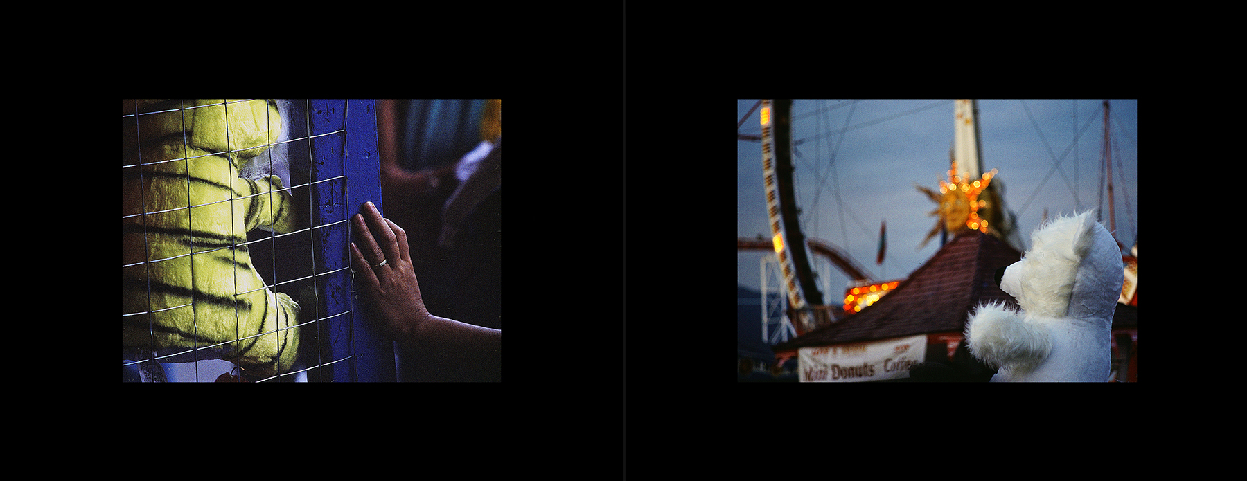 photos from Showers of Midnight Stardust [94]