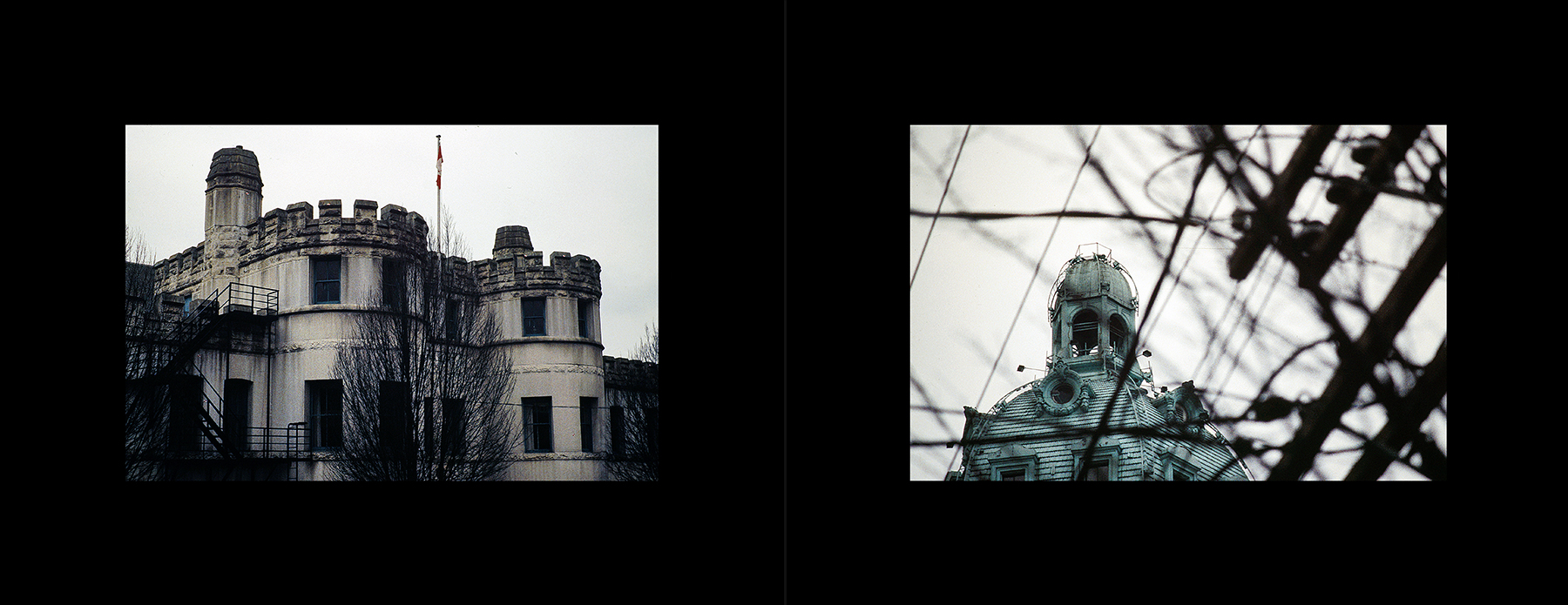 photos from Showers of Midnight Stardust [94]