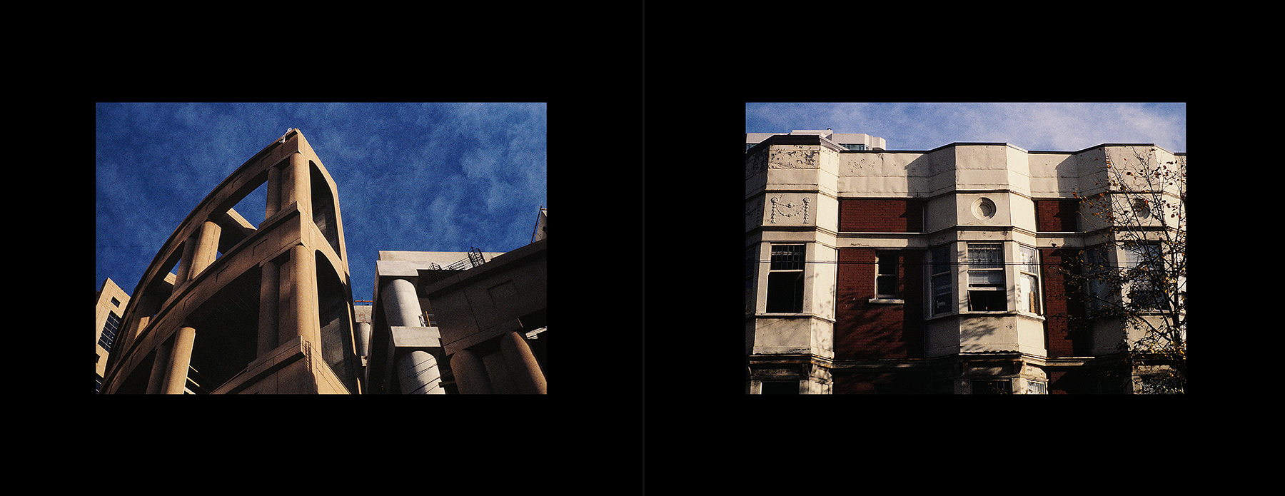 photos from Showers of Midnight Stardust [94]