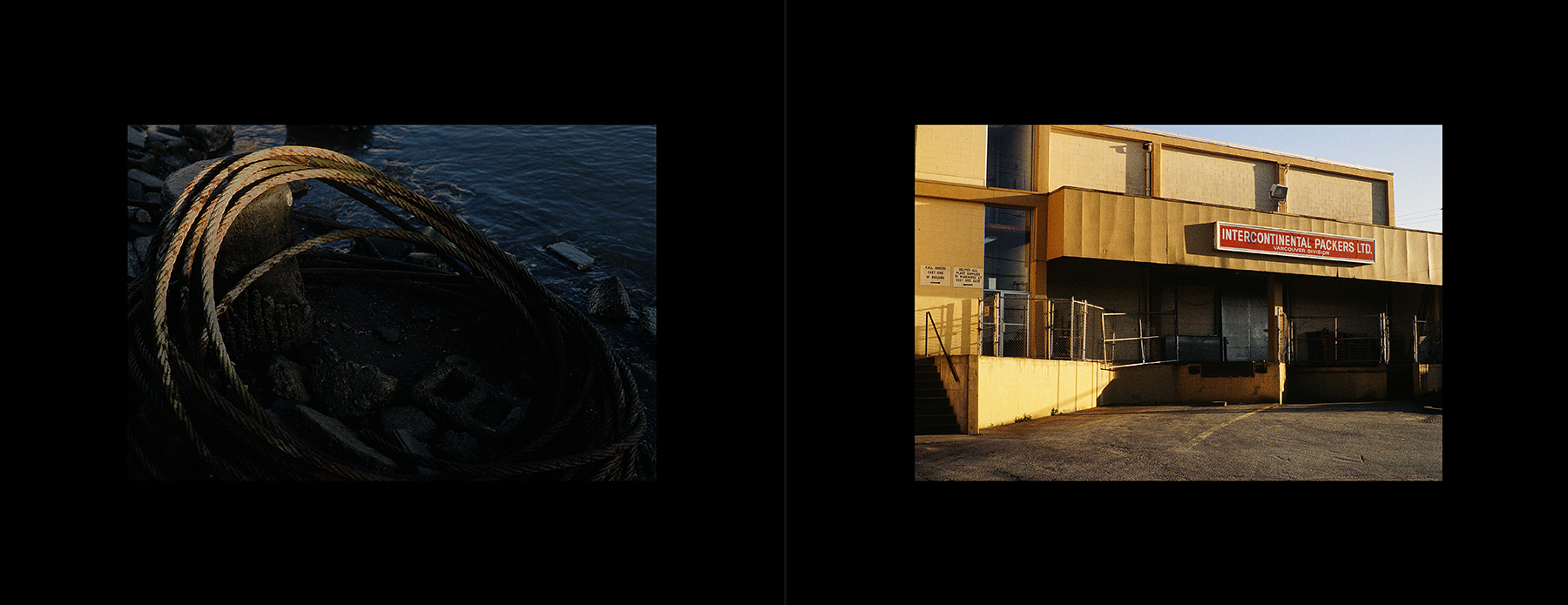 photos from Showers of Midnight Stardust [94]